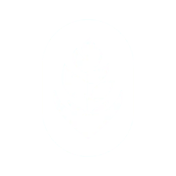 Aimara Traiteur logo icon